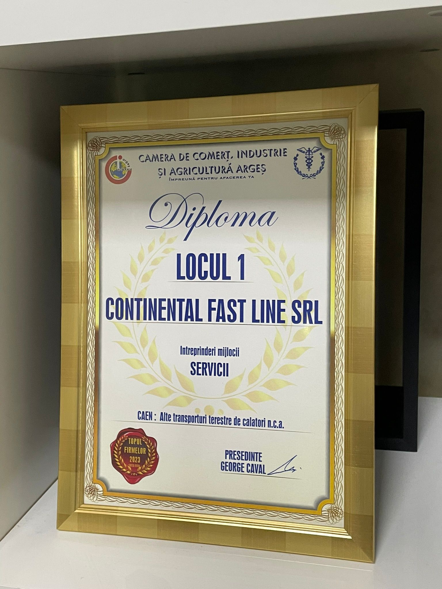 Premiu Continental Fast Line 9